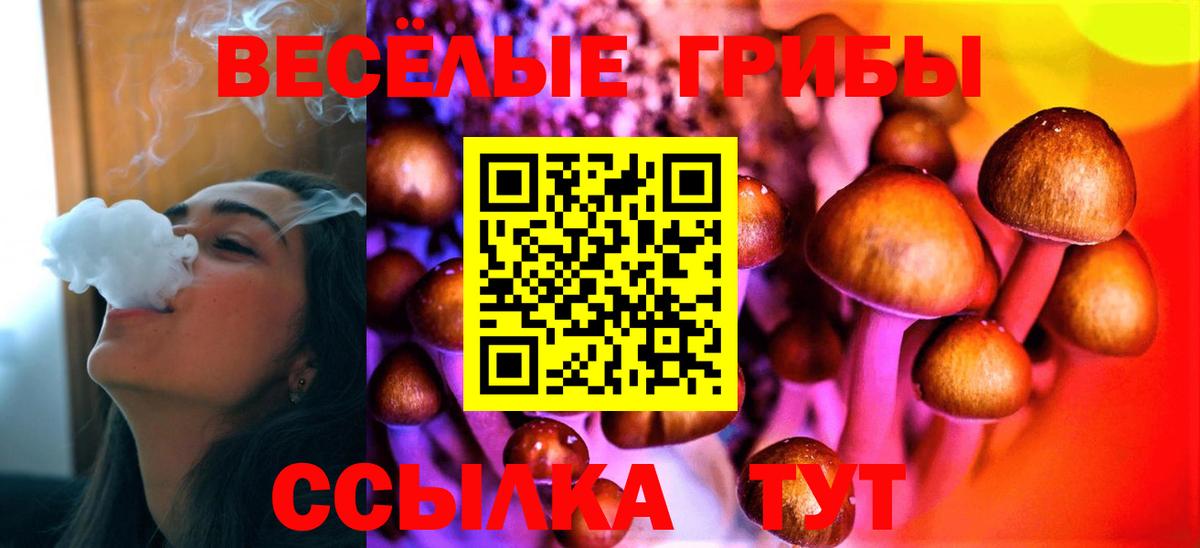Чапаевск  Галлюциногенные грибы ЛСД  Галлюциногенные грибы ЛСД  Вход с VPN 